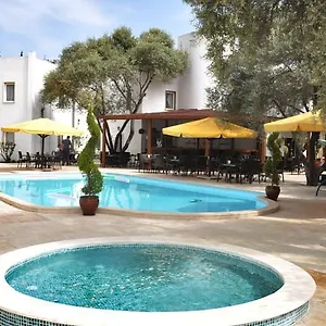 https://princess-diltua.aegeanhotels.net
